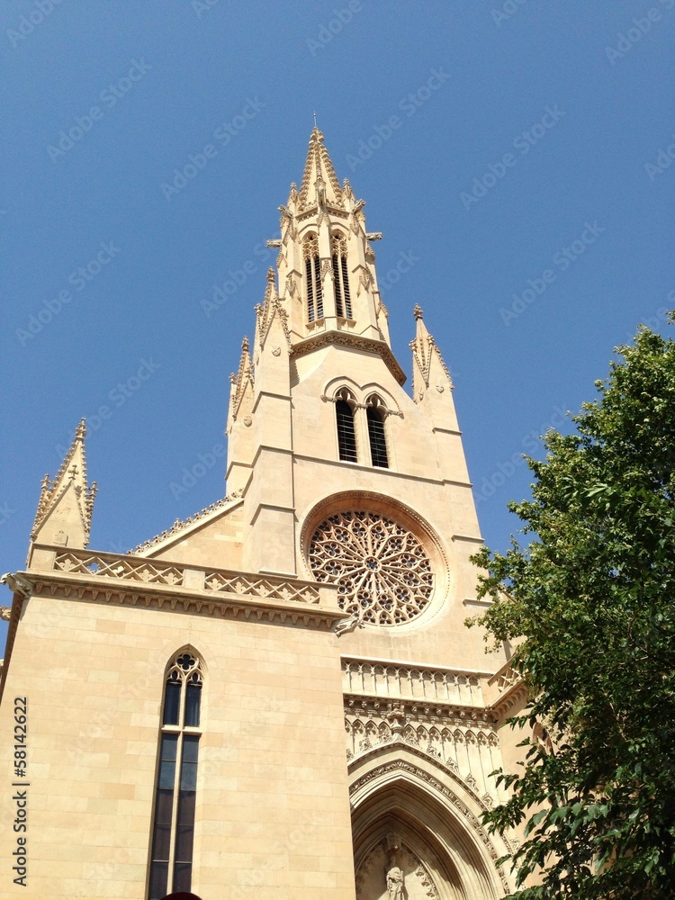 cathedral in Palma de Mallorca