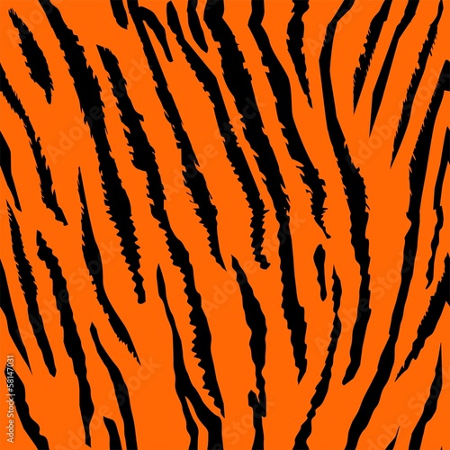 Seamless tiger fur pattern