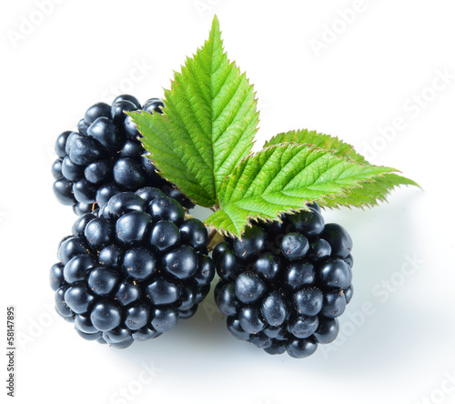Blackberry. Berries isolated on white
