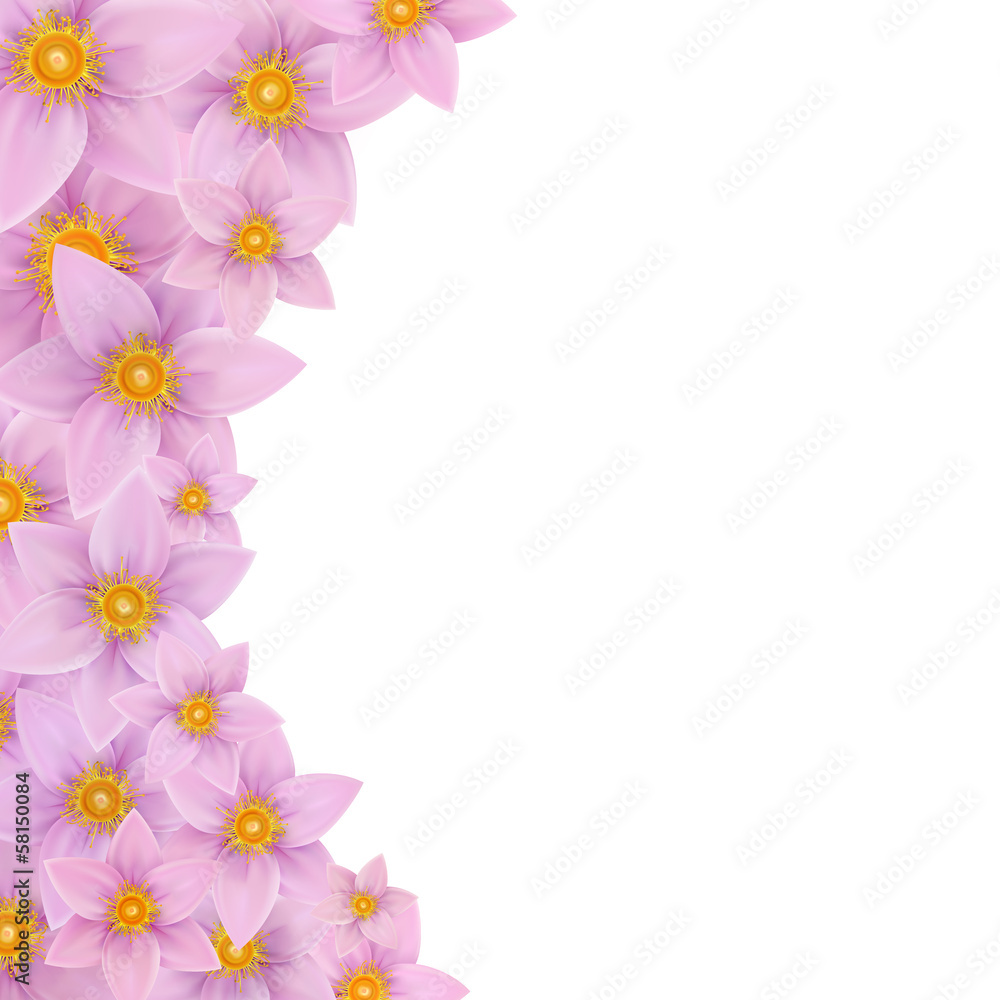Flower Background Flower Background