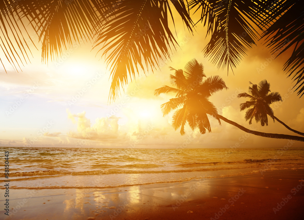 Obraz premium sunset on the beach of caribbean sea