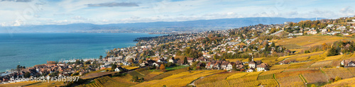 Vineyards in Lavaux region - Terrasse de Lavaux, Switzerland