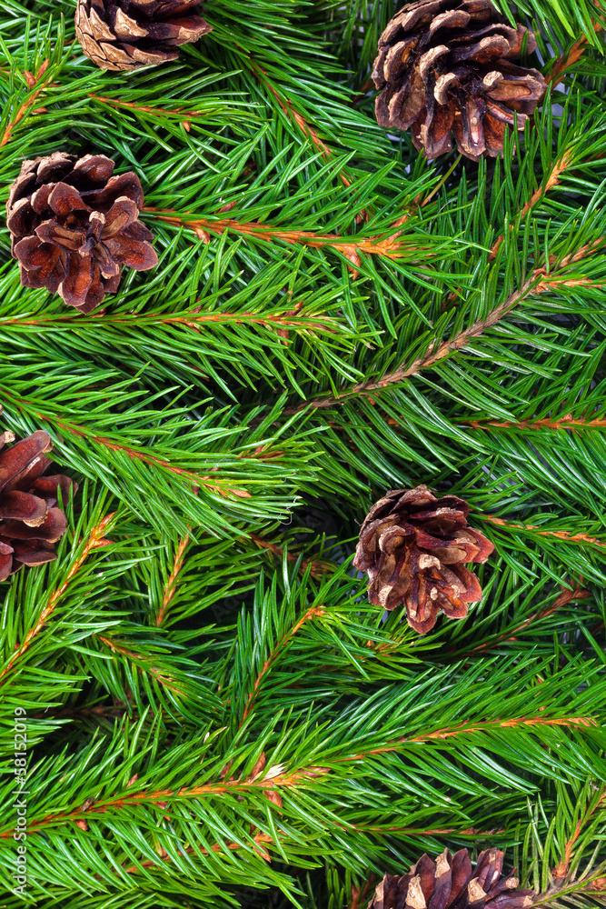 Christmas background. Eve framework Christmas background. Eve framework