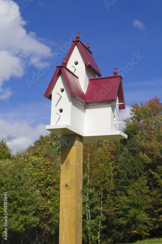 Birdhouse with a Fall Background
