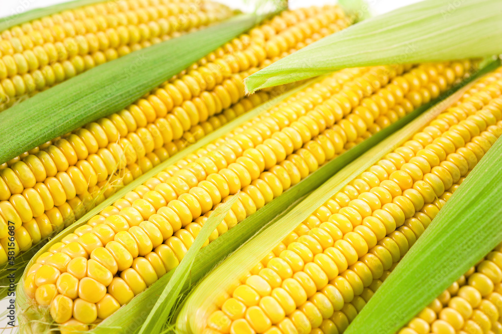 Corn with leaves Corn with leaves