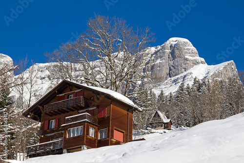 Winter in alps © swisshippo