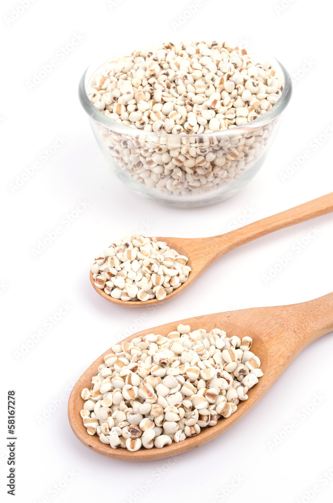 Millet Millet