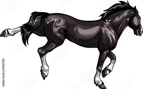bucking horse