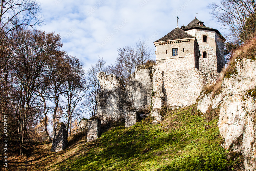 Obraz premium Castle ruins on a hill top in Ojcow, Poland