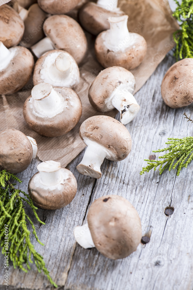 Some Fresh Mushrooms Some Fresh Mushrooms