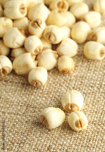 Lotus seed on linen background photo