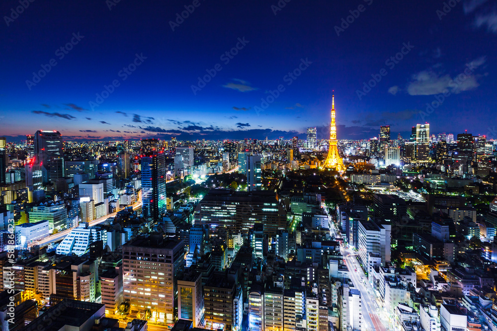 Naklejka premium Tokio skyline w nocy