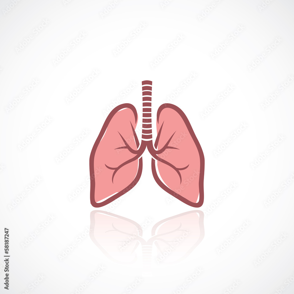 Lungs Lungs
