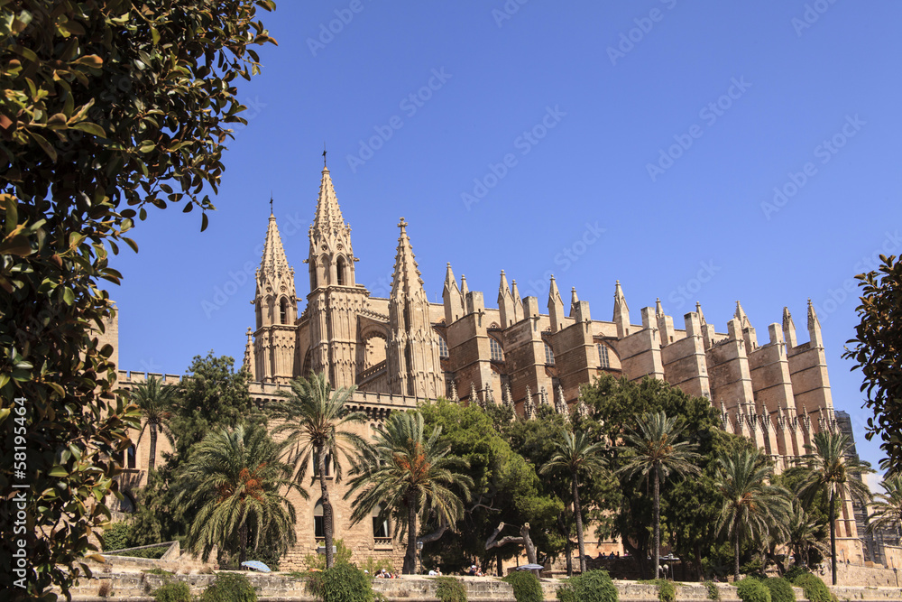 Kathedrale mit Palmen in Mallorca