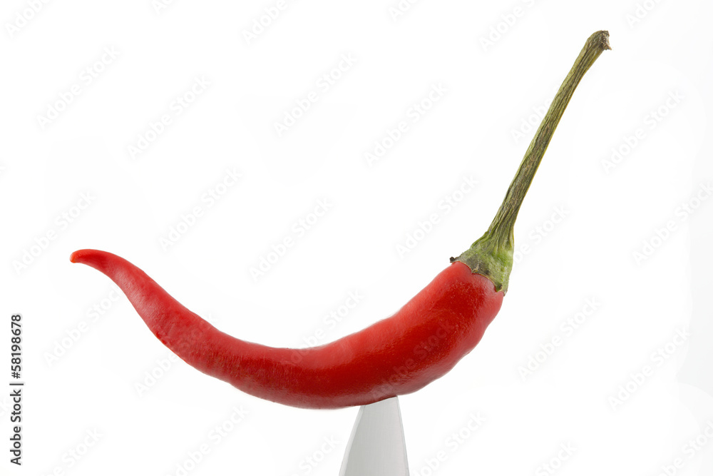 Eine Chilischote auf weißem Hintergrund Eine Chilischote auf weißem Hintergrund