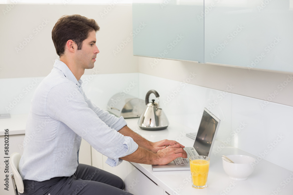 Concentrated casual young man using laptop in kitchen Concentrated casual young man using laptop in kitchen