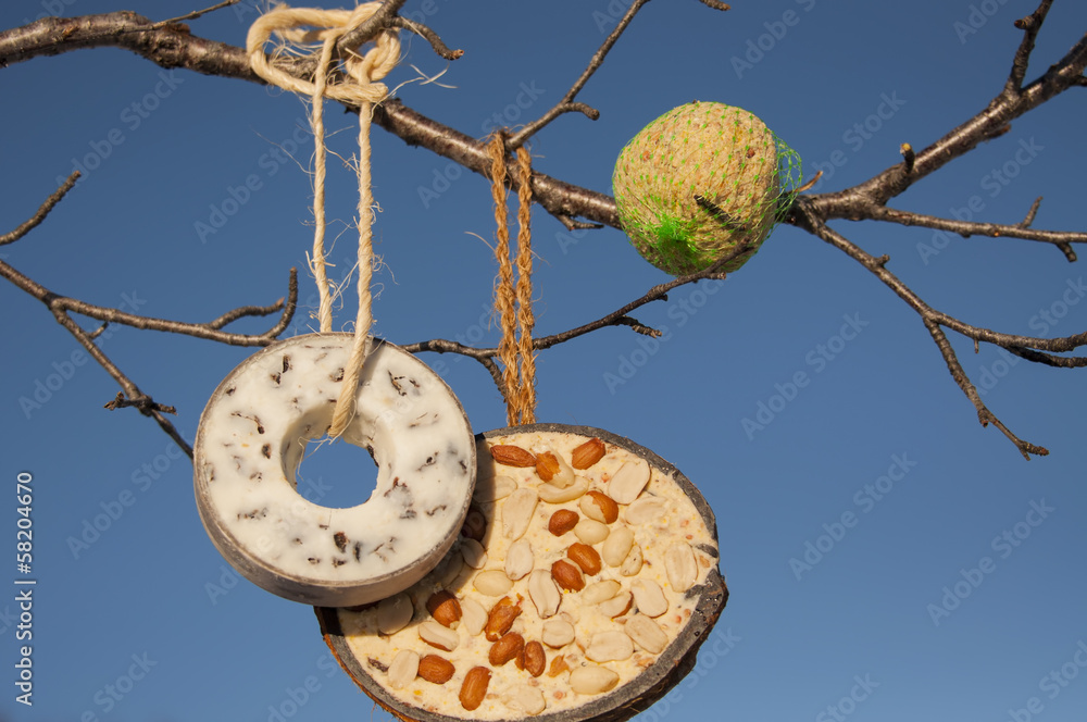 Naklejka premium Selection of bird food