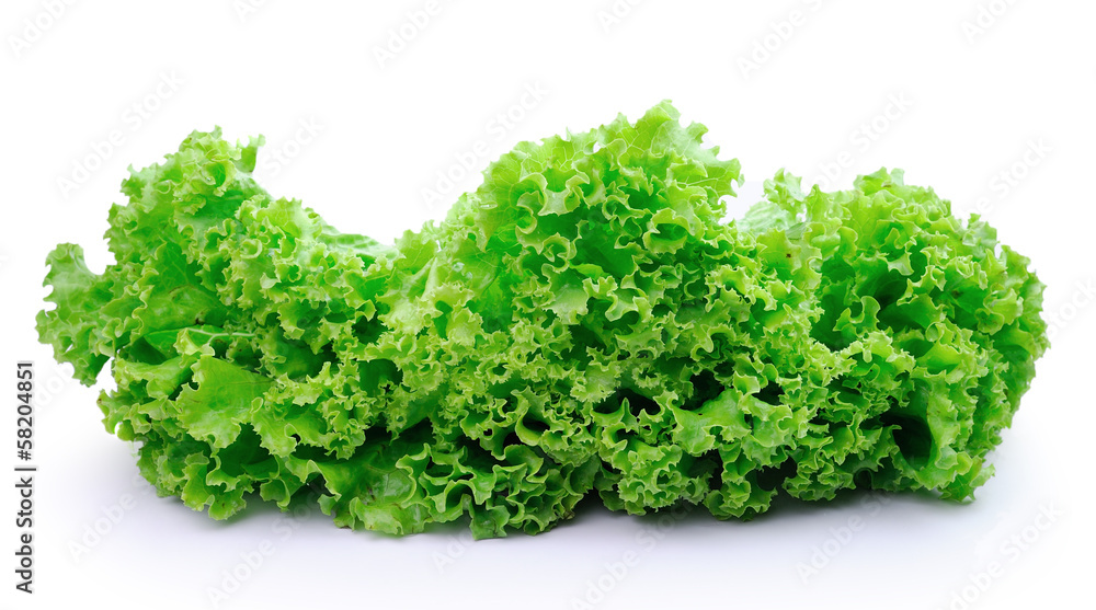 fresh green lettuce leaves isolated on white fresh green lettuce leaves isolated on white