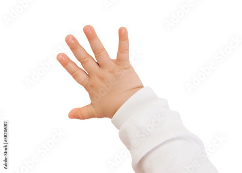 baby hand photo