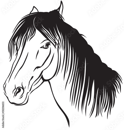 Pony muzzle