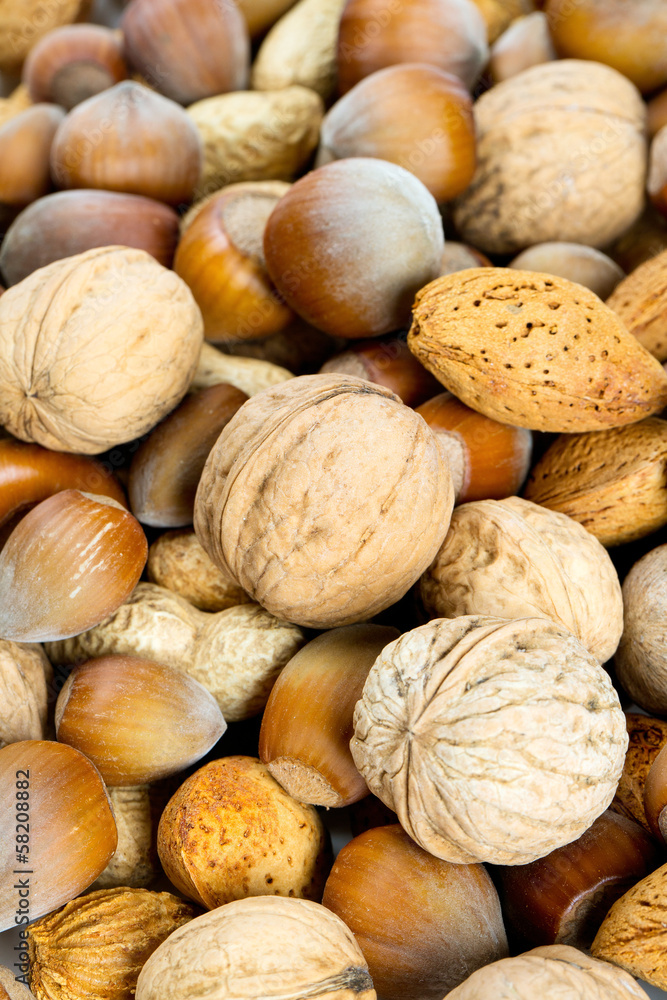 collection of shelled nuts collection of shelled nuts