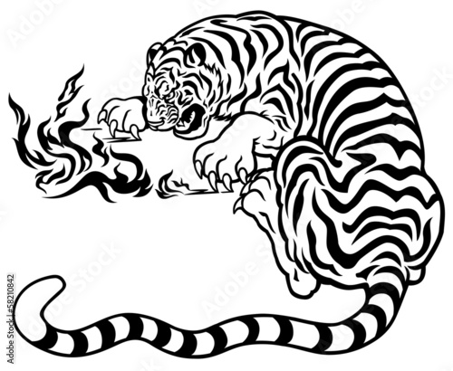 tiger with fire black white