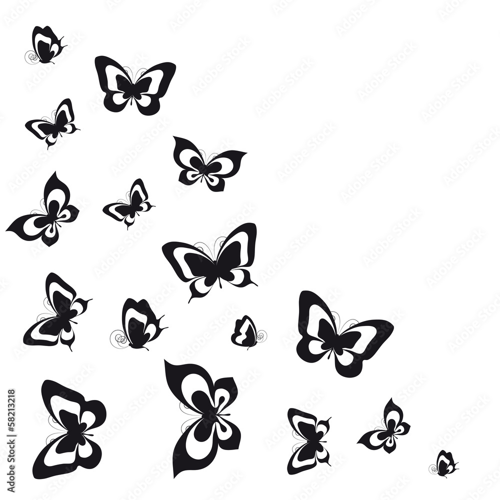 Fototapeta premium butterflies design
