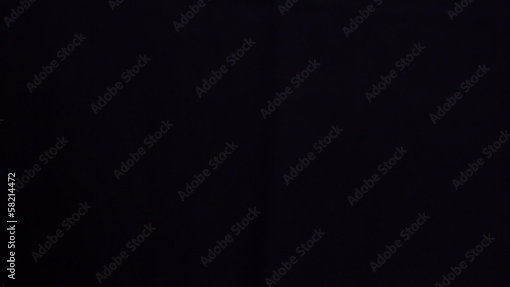 Giving rose. Close up.