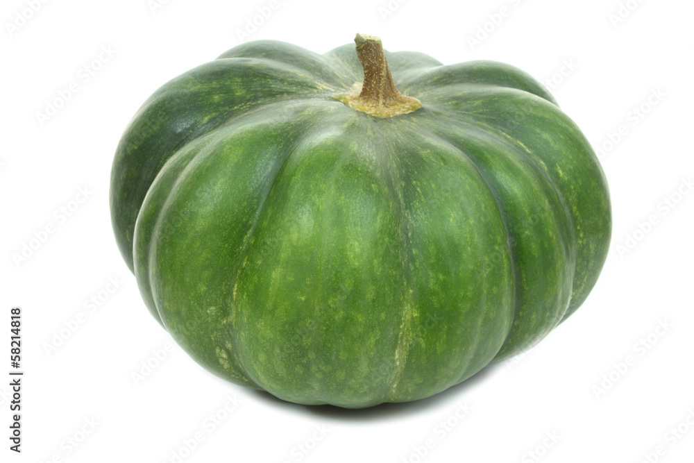 Squash Squash