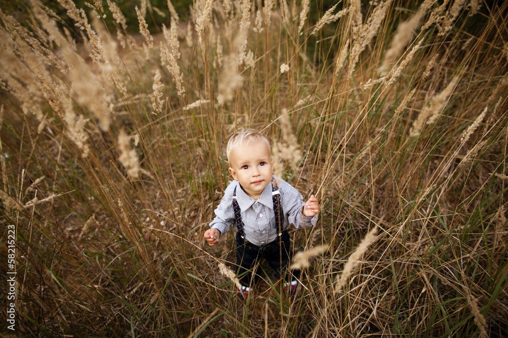 sad little boy portrait in high grass sad little boy portrait in high grass