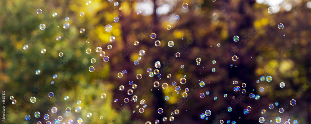 Fotografie Soap bubbles floating in the air