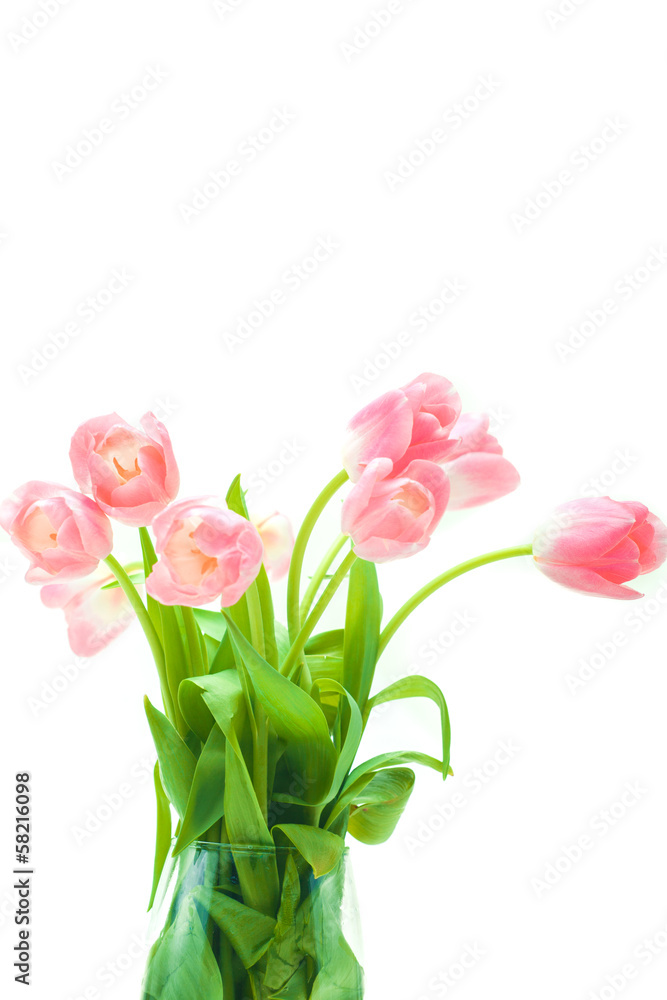Beautiful tulips in glass vase