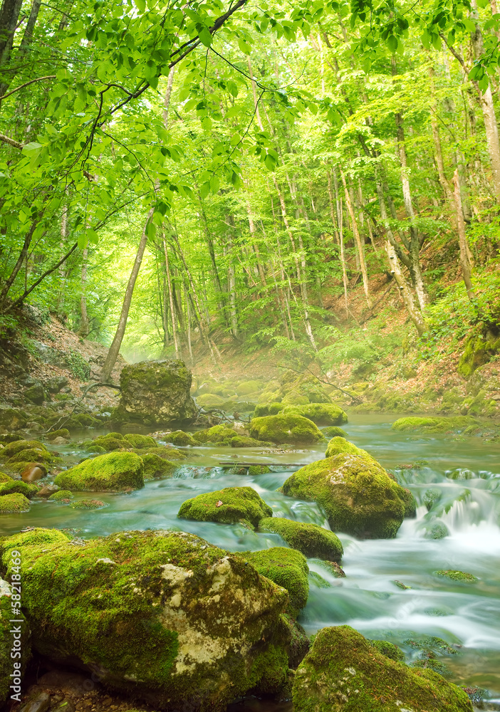 Obraz premium mountain river