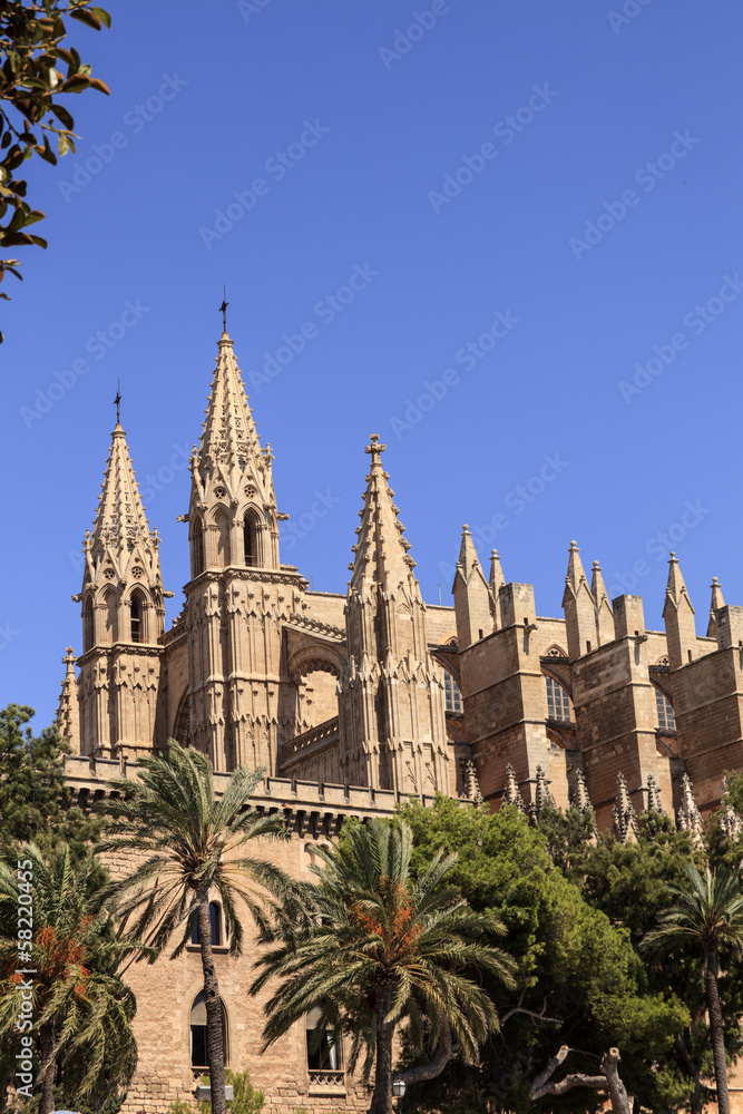 Kathedrale von Palma mit Bäumen
