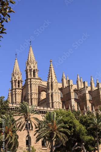 Kathedrale von Palma mit Bäumen