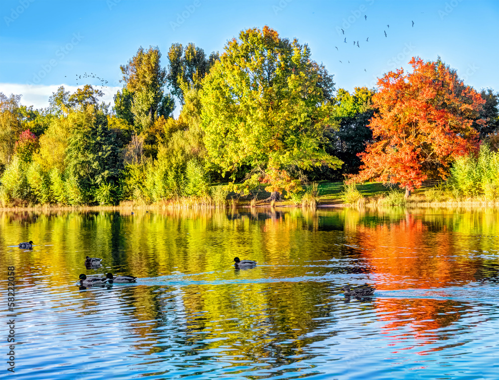 Fototapeta premium herbst