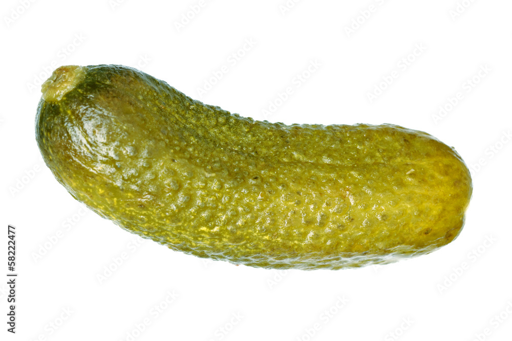 Gewürzgurke Stock-Foto | Adobe Stock