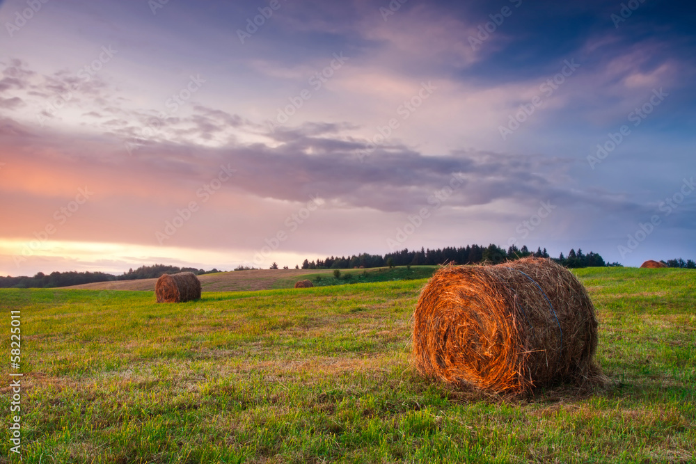 bales of hay at sunrise. foggy morning