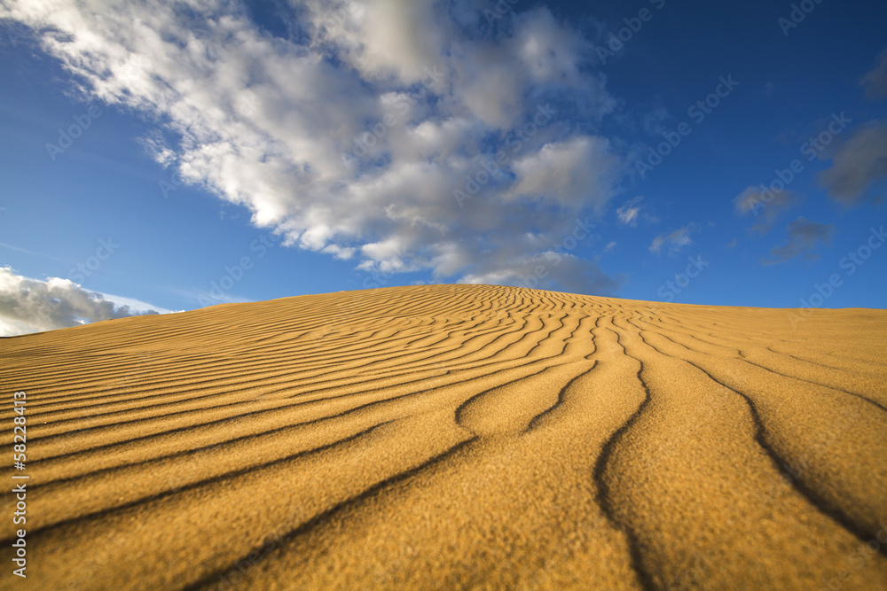 sand dunes sand dunes