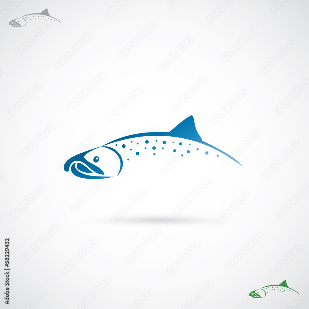 Salmon fish Salmon fish