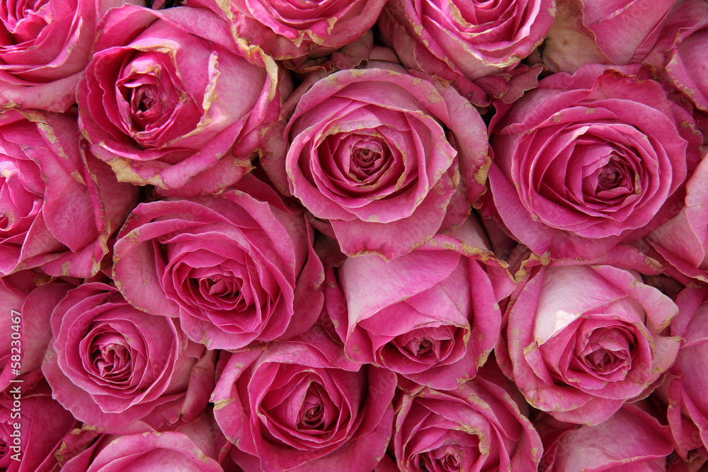 big pink roses in a wedding centerpiece big pink roses in a wedding centerpiece