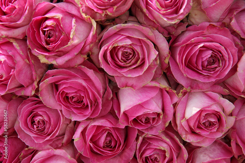big pink roses in a wedding centerpiece