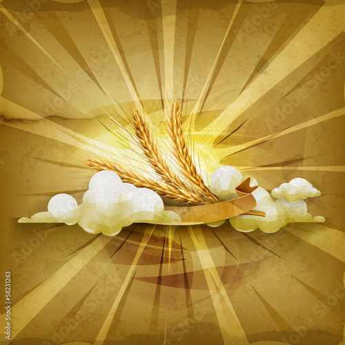 Ears of wheat, old style background