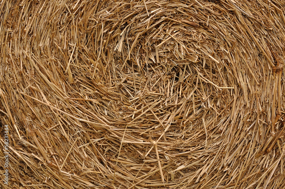 Close up roll of haystack, swirl pattern. Close up roll of haystack, swirl pattern.