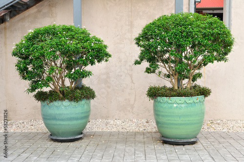 Double plant-pots put on cement floor. © ZhouEka