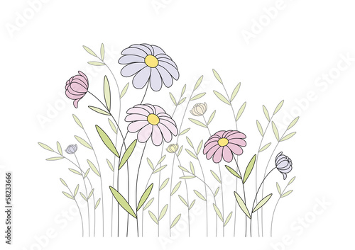 Wiesenblumen