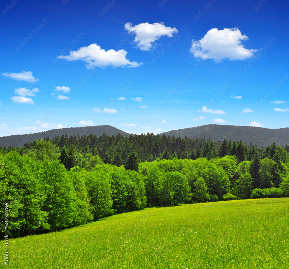 National park Sumava - Czech Republic National park Sumava - Czech Republic