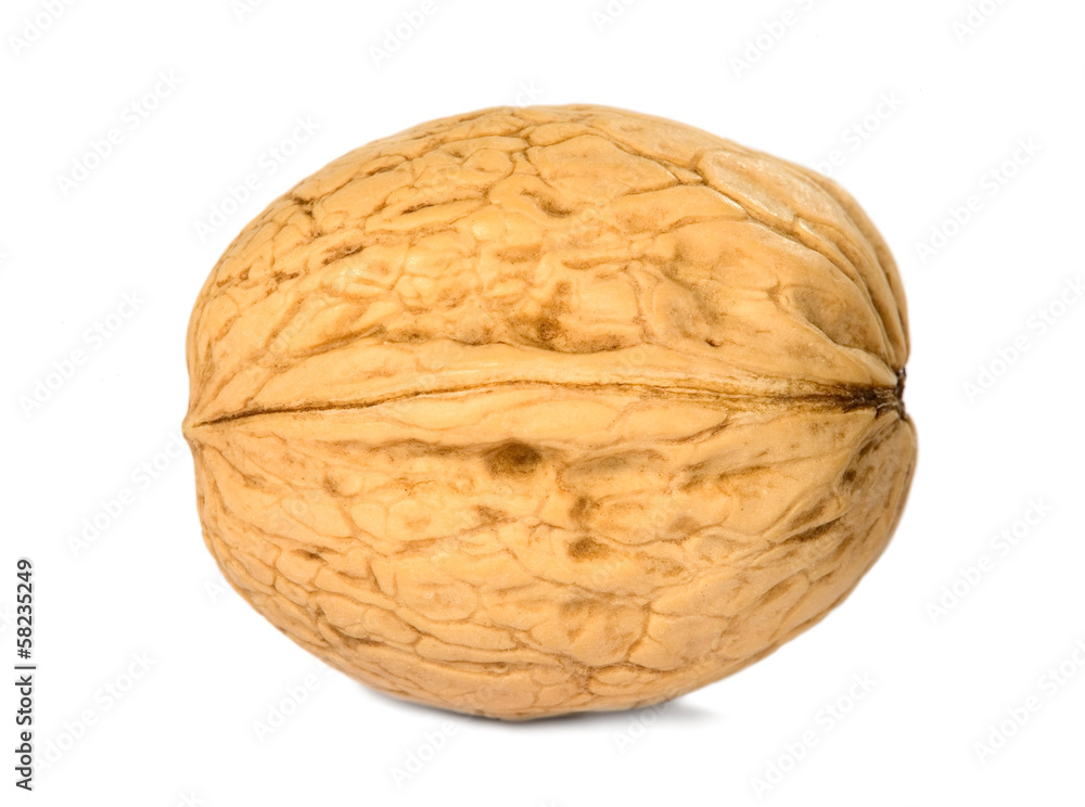 Fototapeta premium Brown greek nut