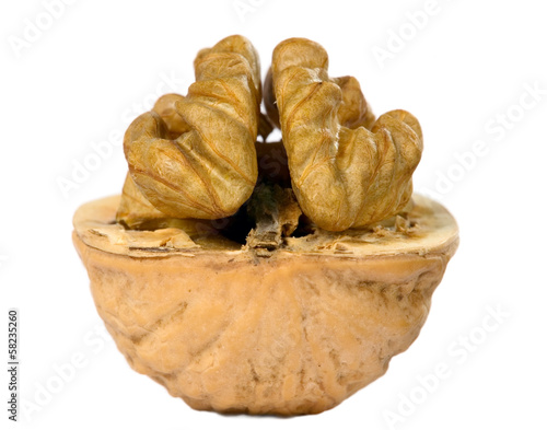 Brown greek nut