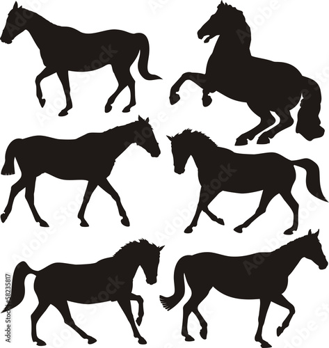 horses silhouettes